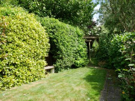 Garden 3