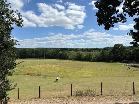 View From Garden
