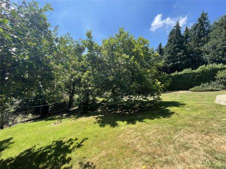Lawn