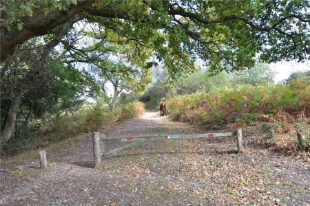 40 metres from house