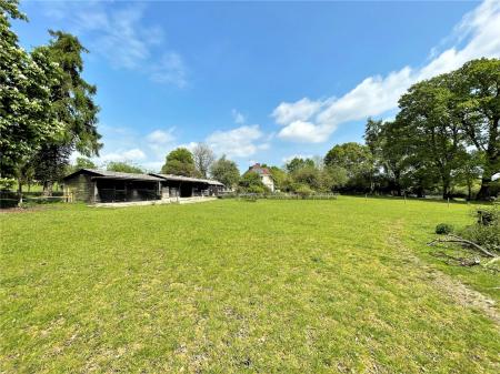 Paddock and Stables