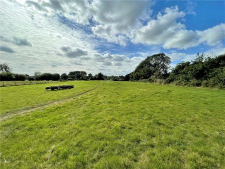 Breamore Marsh View