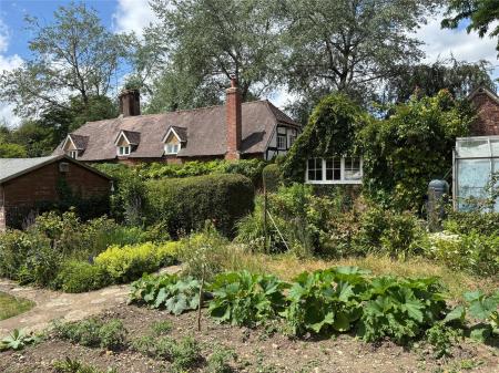 Vegetable Patch