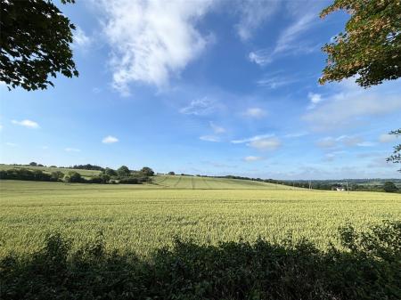 Veiw From Garden