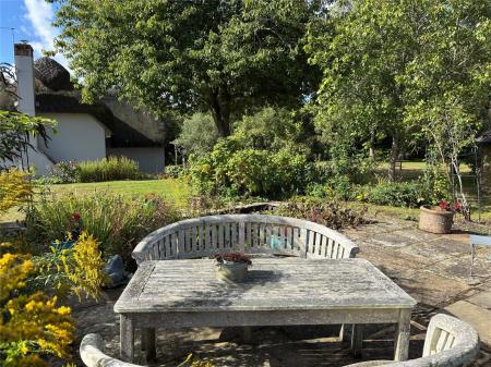 Pond Area