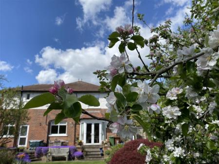10 GARDEN_0257.jpg
