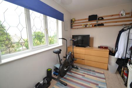 Photograph 7
