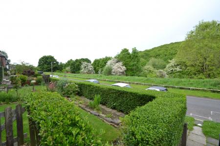 Photograph 11