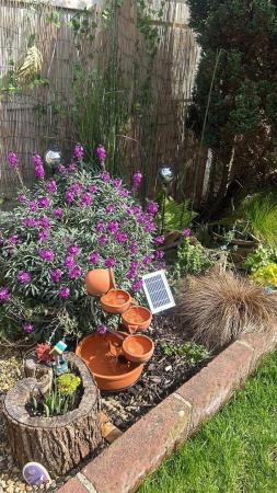Martin Flower bed.jpg