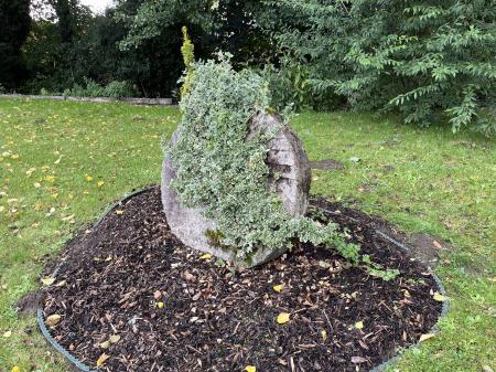 Photo 25