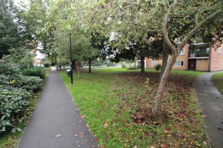 Communal Garden