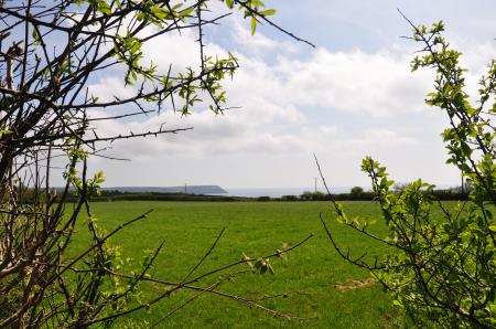 Views to Dodman Point