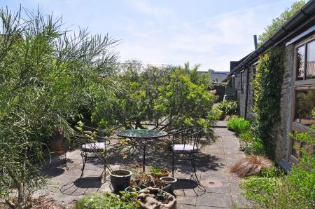 Rear Courtyard Garden