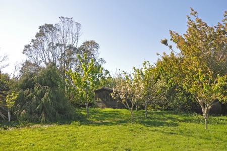 Media image 29