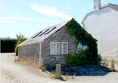 Media image 06