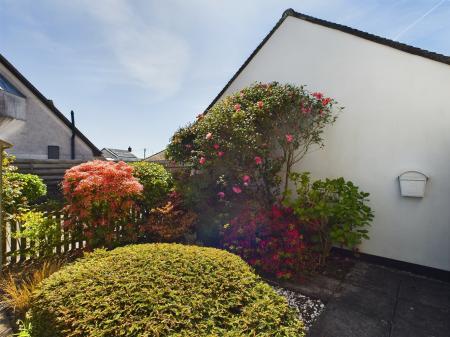 Media image 04