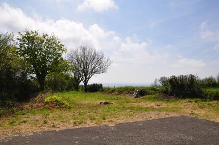 Media image 09