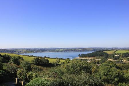 Media image 17