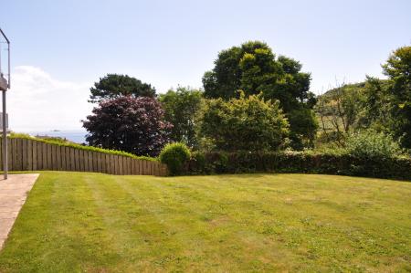 Media image 21