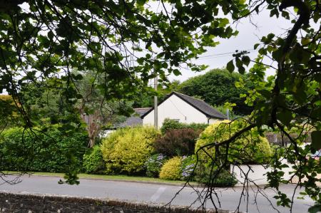 Media image 05