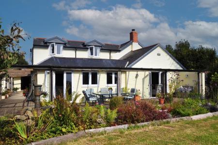 Media image 02