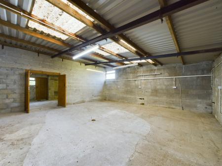 Media image 15