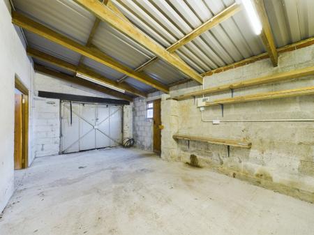 Media image 13