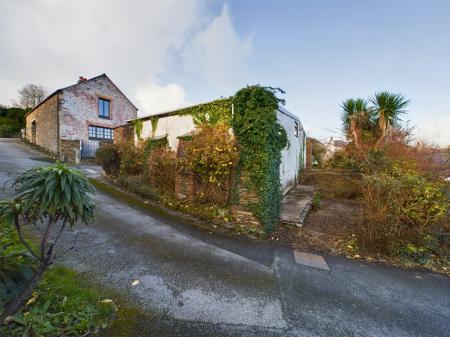 Media image 05