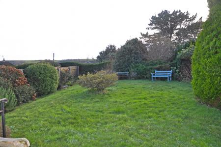 Media image 13