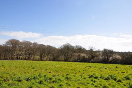 Media image 23