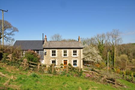 Media image 00