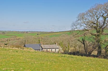 Media image 15