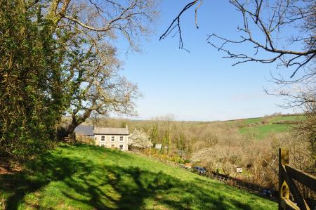 Media image 19