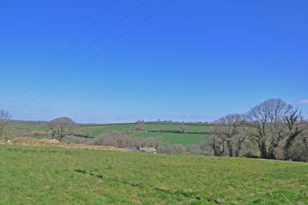 Media image 16