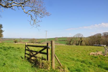 Media image 01