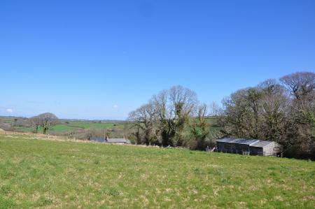Media image 21