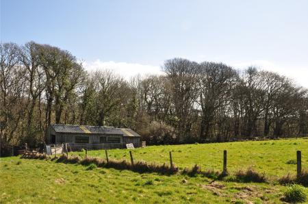 Media image 02