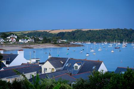 Media image 08
