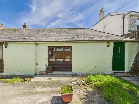 Media image 13