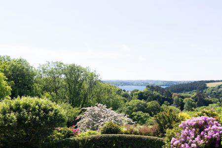 Media image 25
