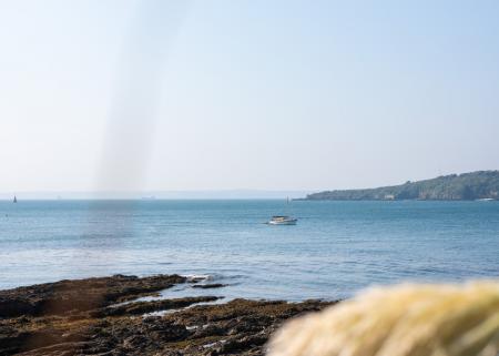 Media image 32