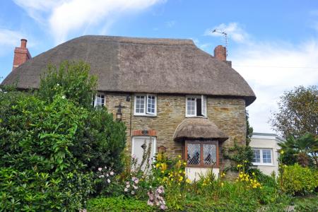 Media image 19