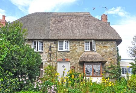 Media image 04