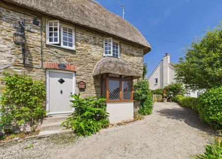 Media image 21