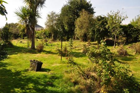 Media image 00
