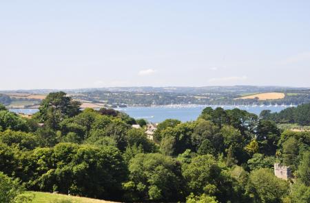 Media image 03