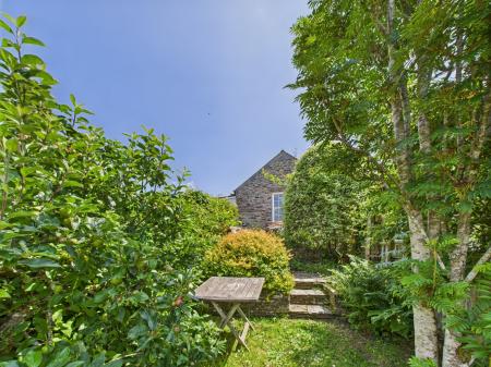 Media image 03