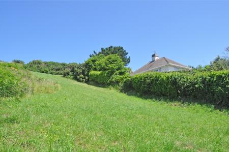 Media image 15