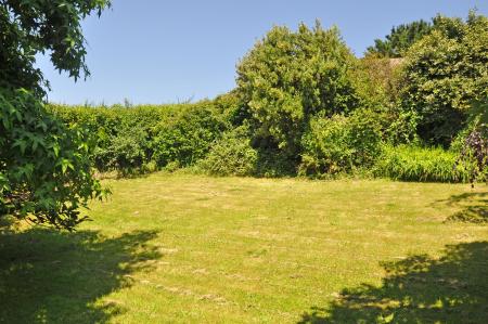 Media image 14