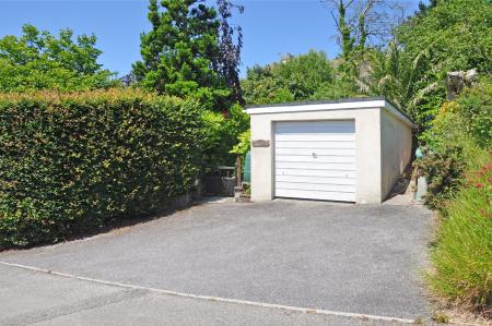 Media image 11